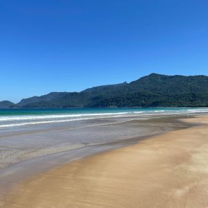 LOPES MENDES (3)