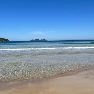 LOPES MENDES (4)