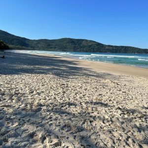 LOPES MENDES (5)