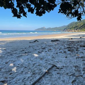 LOPES MENDES (6)