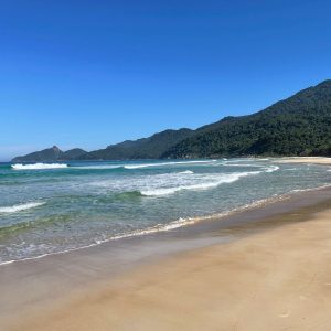 LOPES MENDES (7)