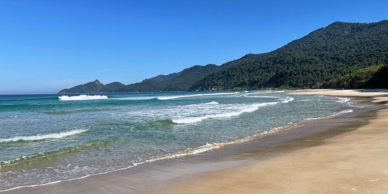 LOPES MENDES (7)